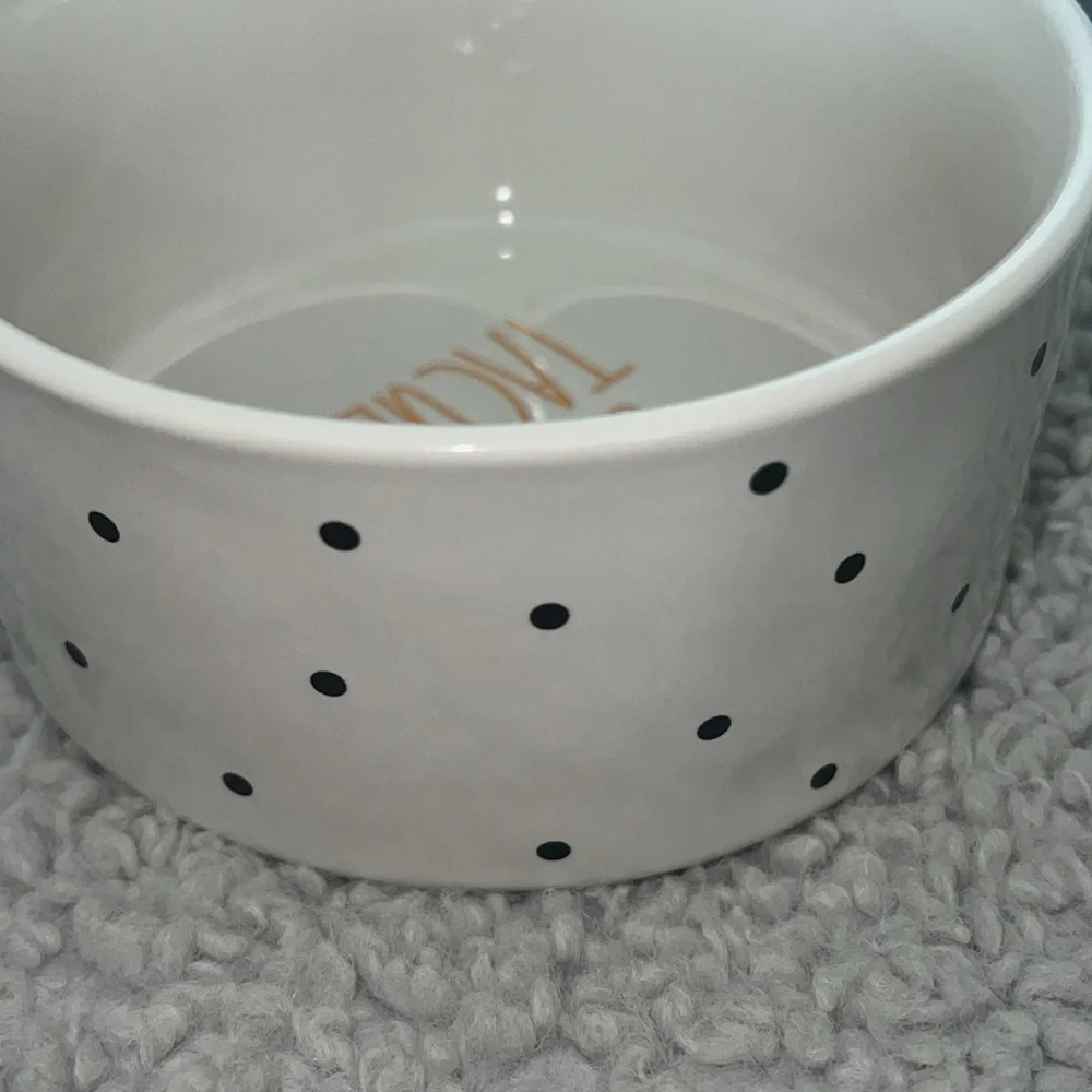 New Rae Dunn Halloween peanuts snoopy dog food bowl